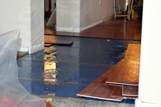 Professional Flood Damage Repair technician working in McHenry, IL